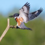 Holiday happenings this season