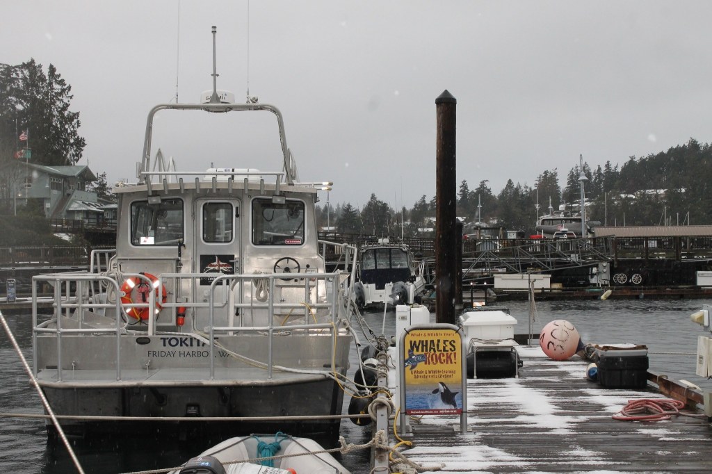 The first snow of winter dusts the island
