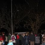 Tree lighting marks start of holiday season
