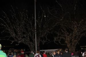 Tree lighting marks start of holiday season