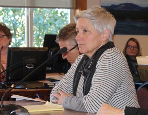 Lopez public hospital district could be on April ballot