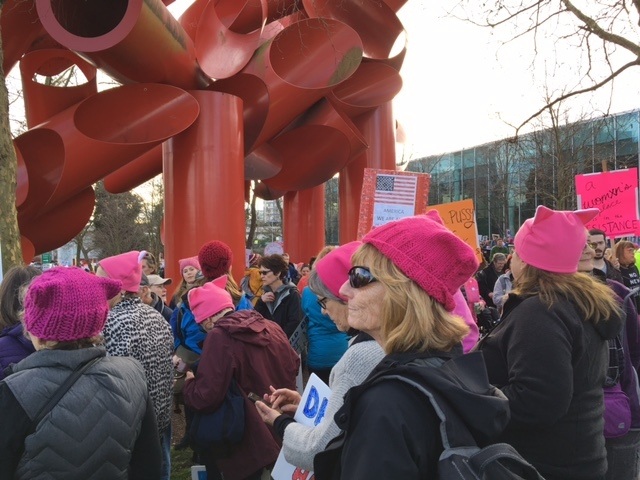 Islanders go to Seattle to join march
