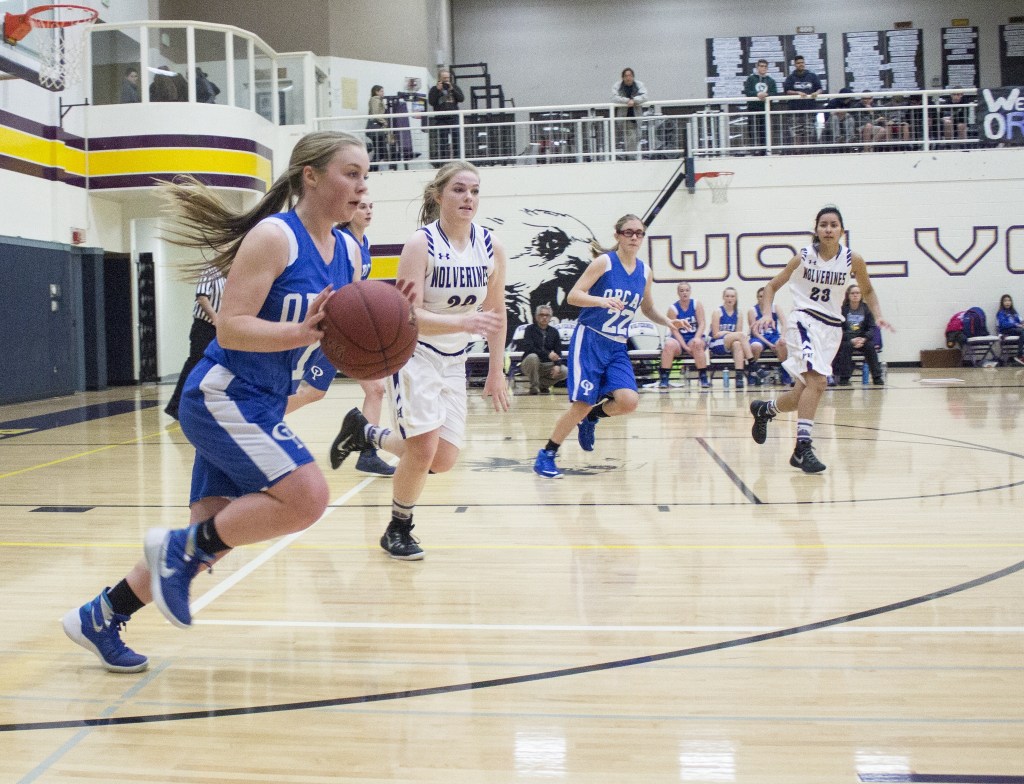 Wolverine girls play hard in loss to rival