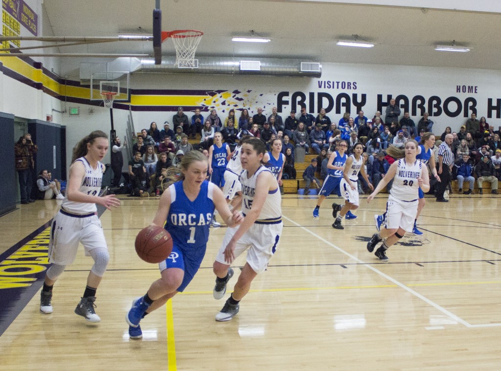 Wolverine girls play hard in loss to rival