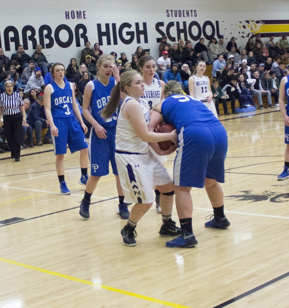 Wolverine girls play hard in loss to rival