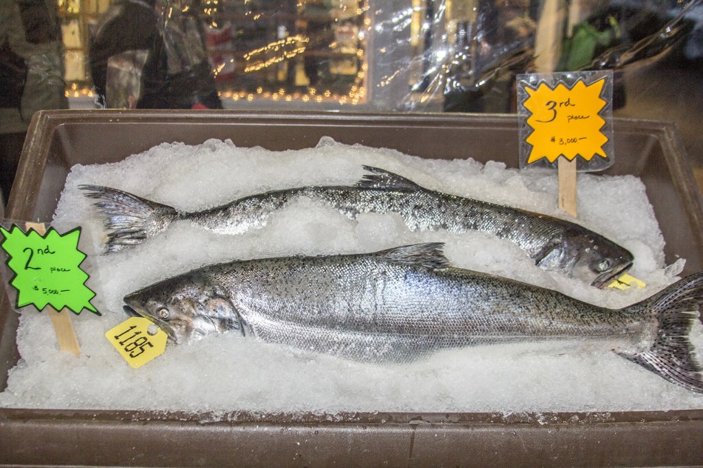 Derby records set at Roche Harbor Salmon Classic