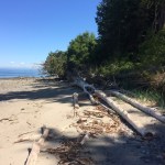 Contribute photo/Land Bank