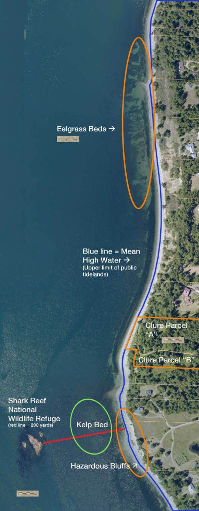 Contributed image/Save Lopez Shoreline