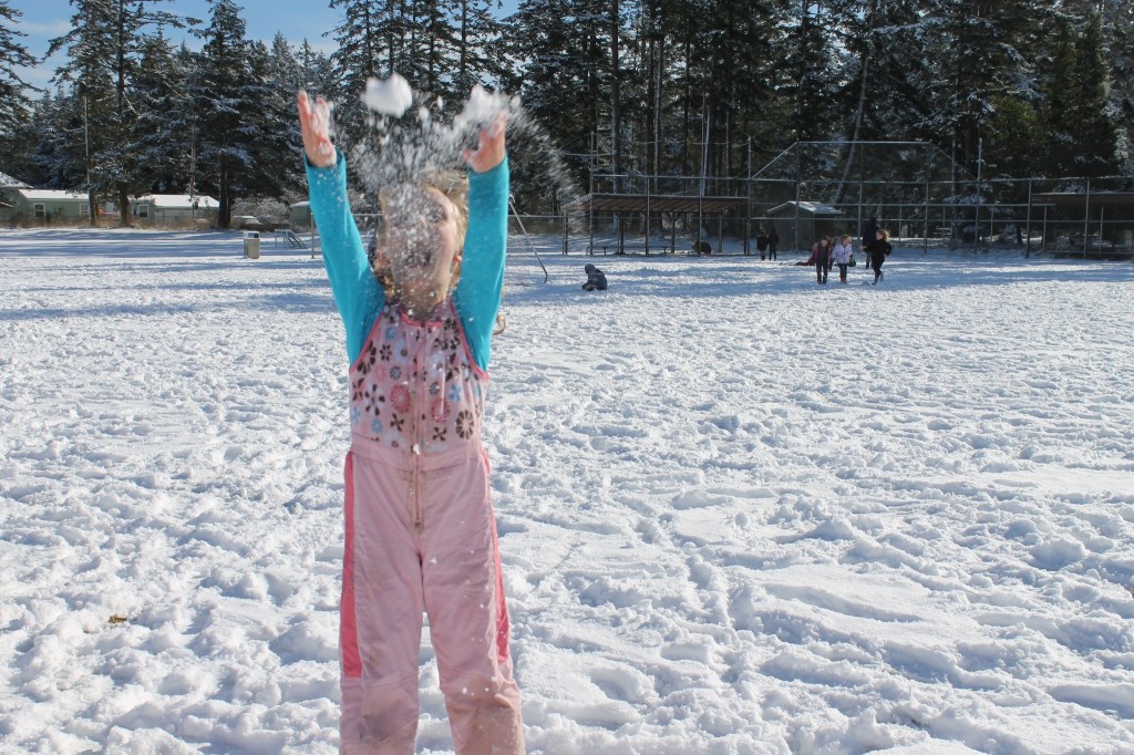 Staff photo/Hayley Day