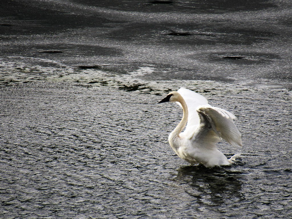 Contributed photo/Mary Kalbert