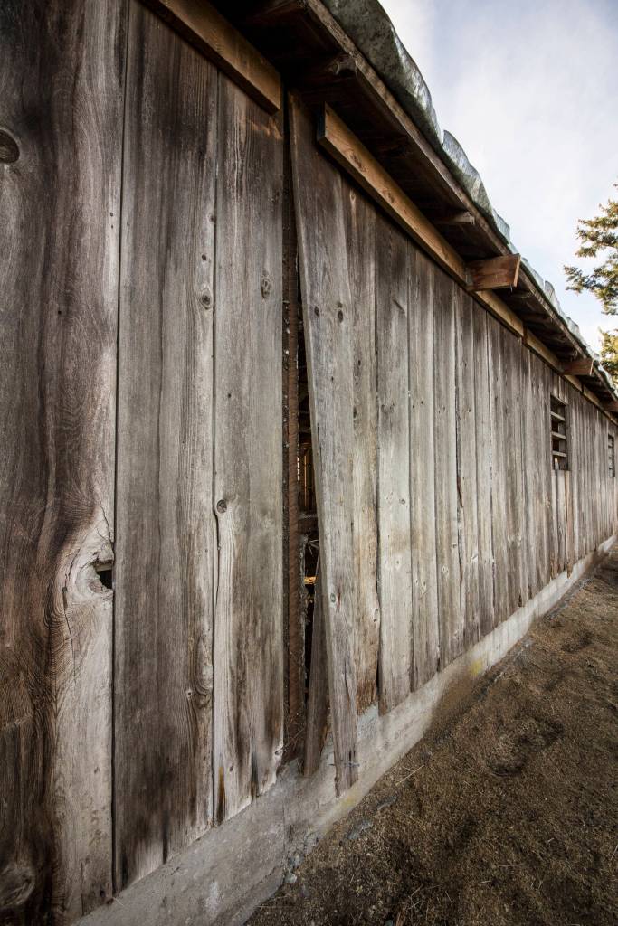 Staff photo/Greg Sellentin