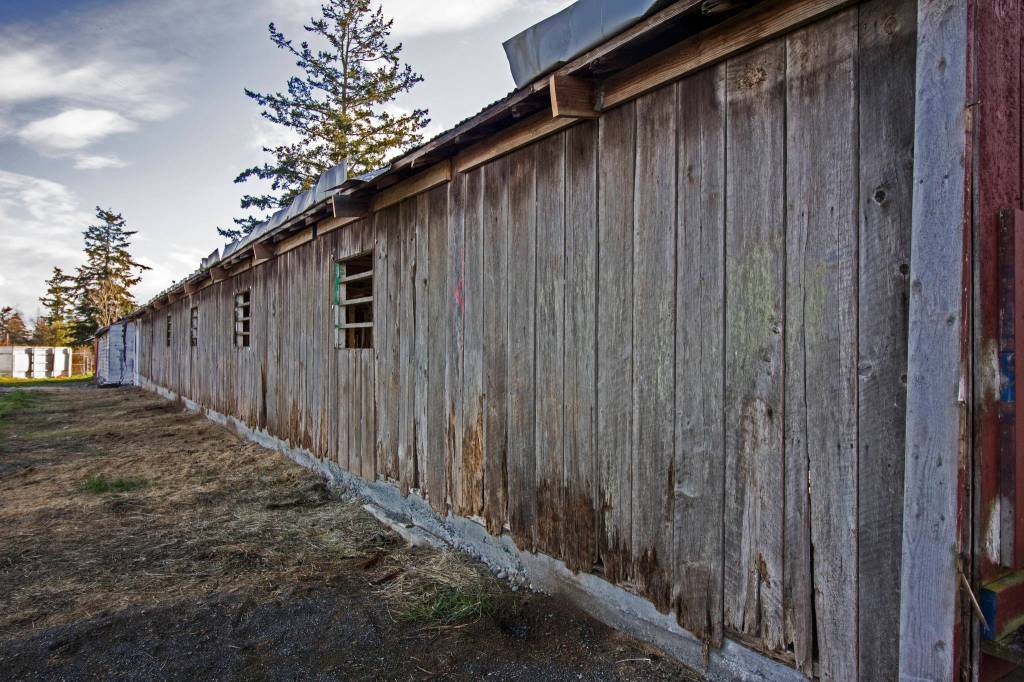 Staff photo/Greg Sellentin