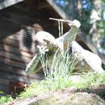 New San Juan Island art center features protest art