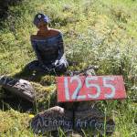 New San Juan Island art center features protest art