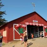 Contributed photo/D.N. Kinsey                                The horse barn in 2008, after it was painted red.