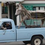 Bow, Washington artist drives driftwood horse to sculpture park