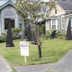 Staff photo/Hayley Day                                Southern resident killer whales from the K pod were in front of the county council chambers.