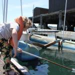 Staff photo/Hayley Day                                Islanders scooped marine creatures like jellyfish from the pier.