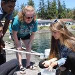 Staff photo/Hayley Day                                Volunteers explain the creatures they found in the water.