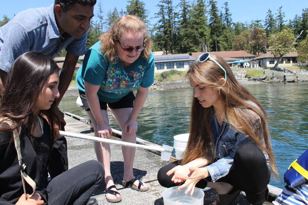 Staff photo/Hayley Day                                Volunteers explain the creatures they found in the water.
