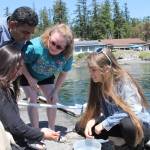 Staff photo/Hayley Day                                Volunteers explain the creatures they found in the water.