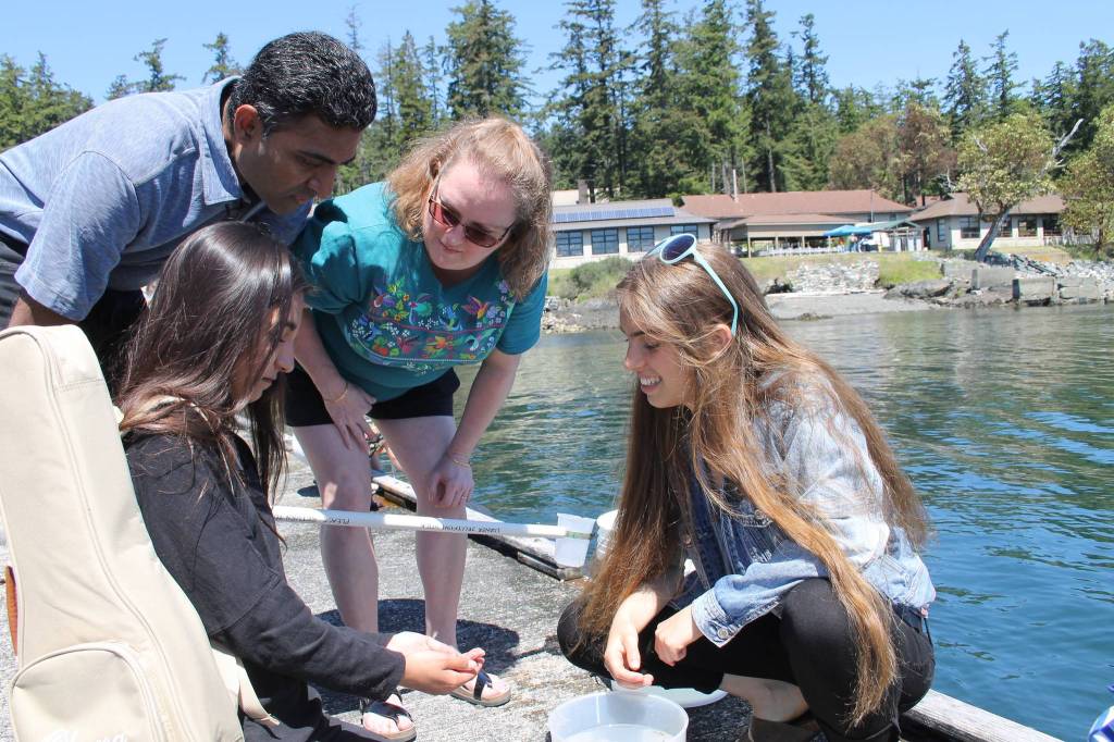 Staff photo/Hayley Day                                Volunteers explain the creatures they found in the water.