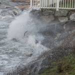 Staff photo/Cali Bagby