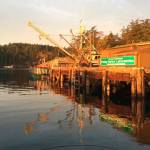 Contributed photo/University of Washington