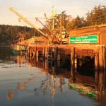 Friday Harbor Labs welcomes community to open house