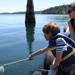 University of Washington Friday Harbor Laboratories open house | Photos