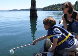 University of Washington Friday Harbor Laboratories open house | Photos