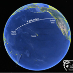 Contributed image/SeaDoc Society