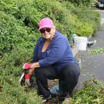 Staff photo. Windermere staff pulling weeds at the Senior Center