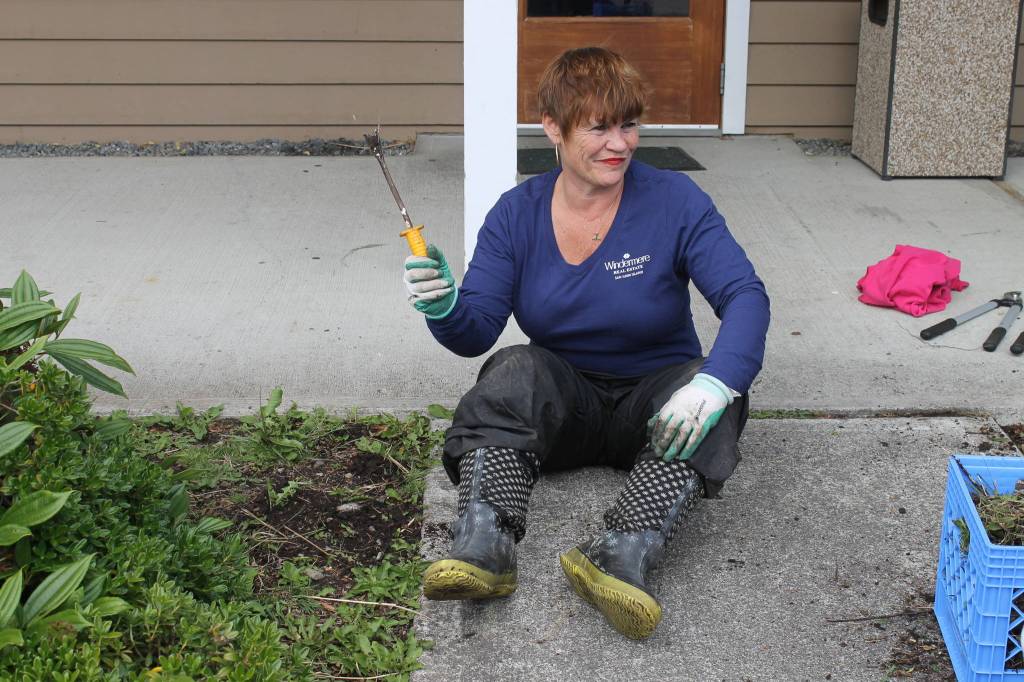 Staff photo. Debbie Dardanilli pulling weeds at the Senior Center.