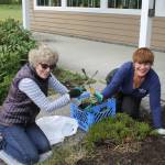 Staff photo/ Heather Spaulding                                Debbie Dardanilli and Zita Sandmeyer pulling weeds at the Mullis Senior Center.