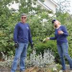 Staff photo. Gary Franklin and co-worker pulling weeds at the Senior Center.
