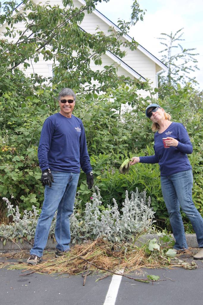 Staff photo. Gary Franklin and co-worker pulling weeds at the Senior Center.