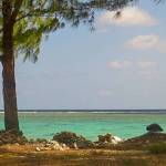 Salish Sea buoy washes up 4,000 miles away | SeaDoc Society