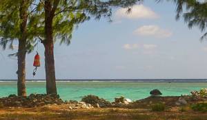 Salish Sea buoy washes up 4,000 miles away | SeaDoc Society