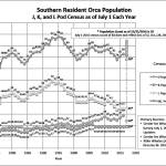 County officials discuss how to protect orcas