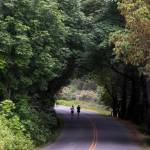 Course maps and safety advice for San Juan Island triathlon and marathon