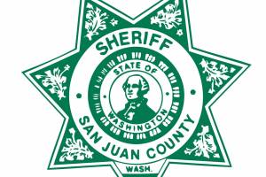 New distracted-driver law allows hands-free electronics use