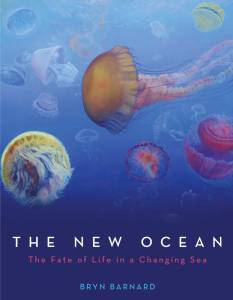 Local author Bryn Barnard discusses “New Ocean” book