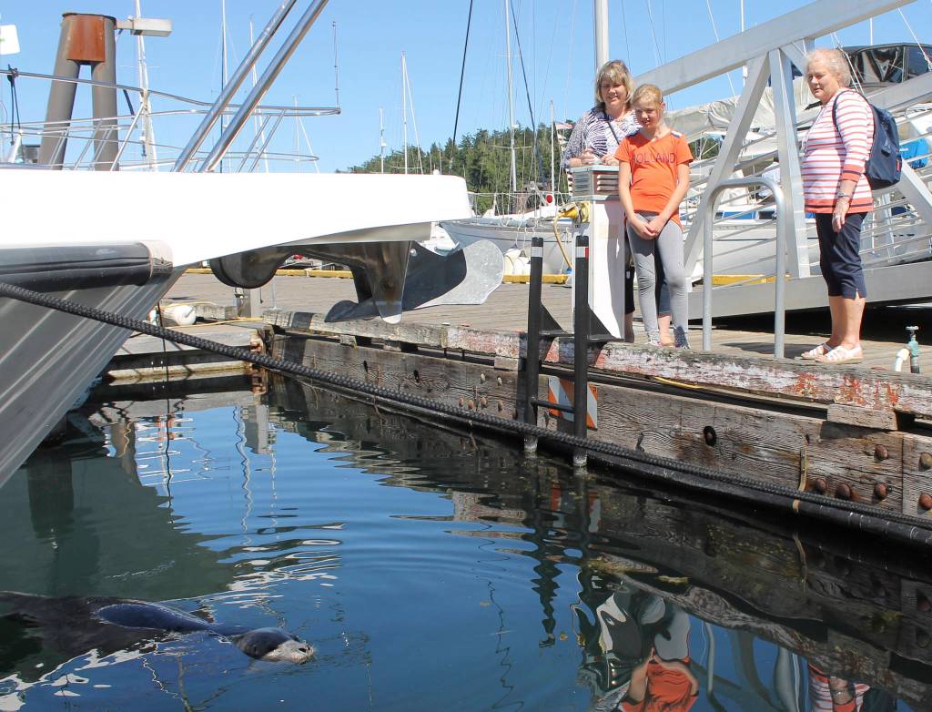 Staff photo/Hayley Day                                Popeye draws a crowd near Friday Harbor Seafood at the Port of Friday Harbor.