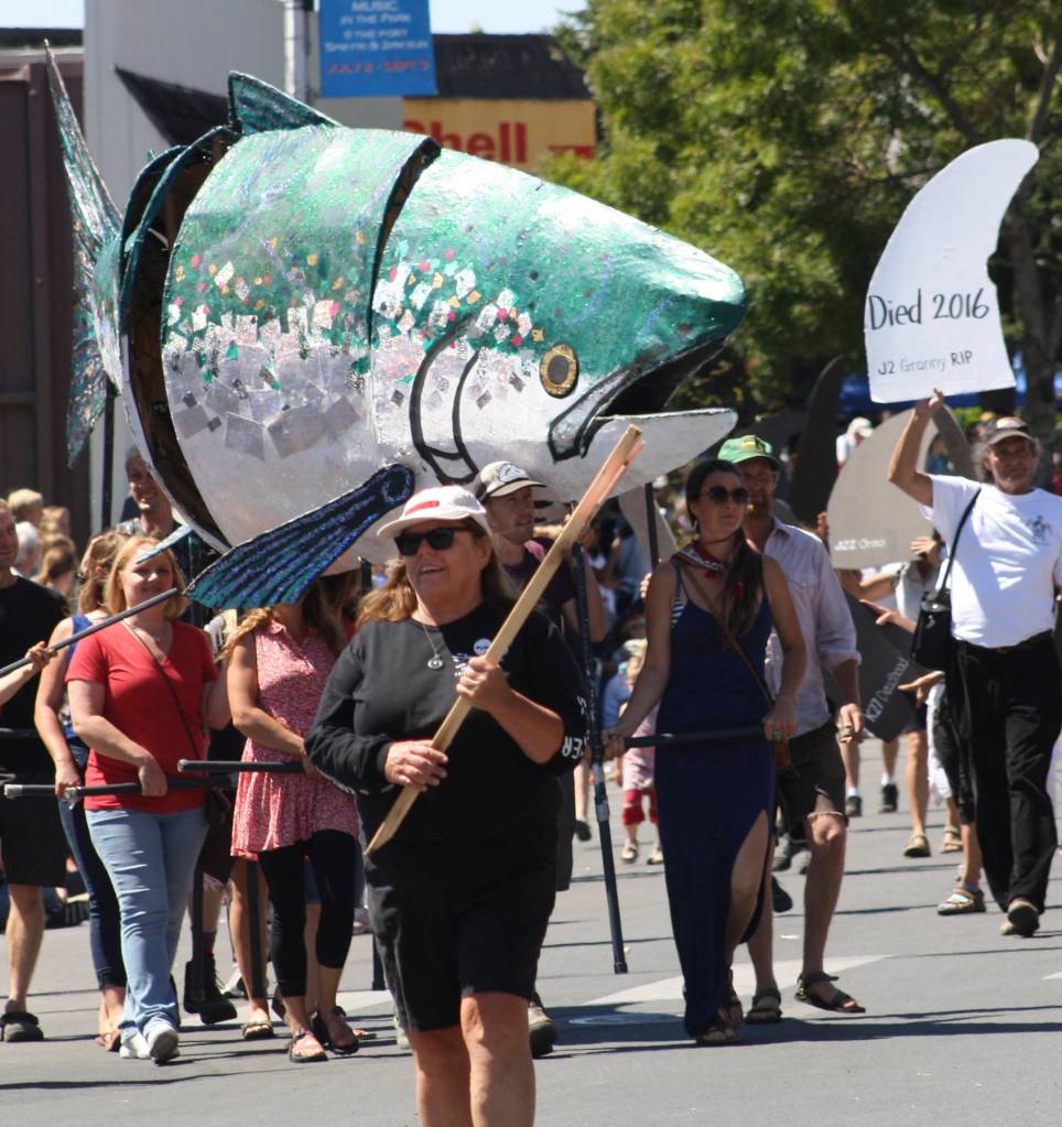 Staff photo/Hayley Day