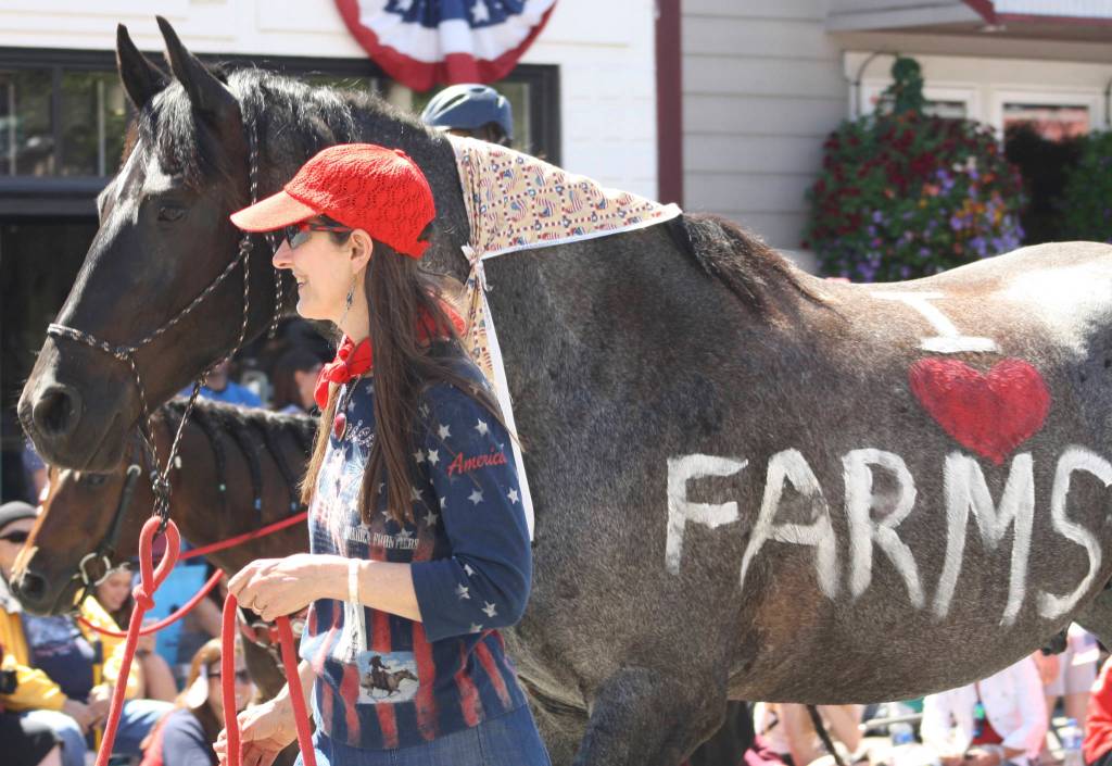 Staff photo/Hayley Day