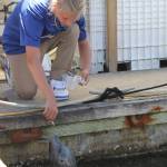 Visits with Popeye the harbor seal