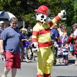 Contributed photo/Bill Waxman