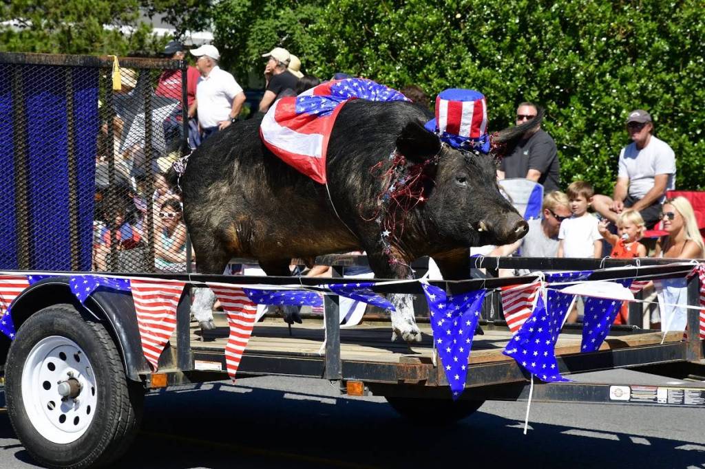 Contributed photo/Bill Waxman