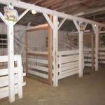 Contributed photo/D.N. Kinsey                                The horse barn interior before a recent demolition.